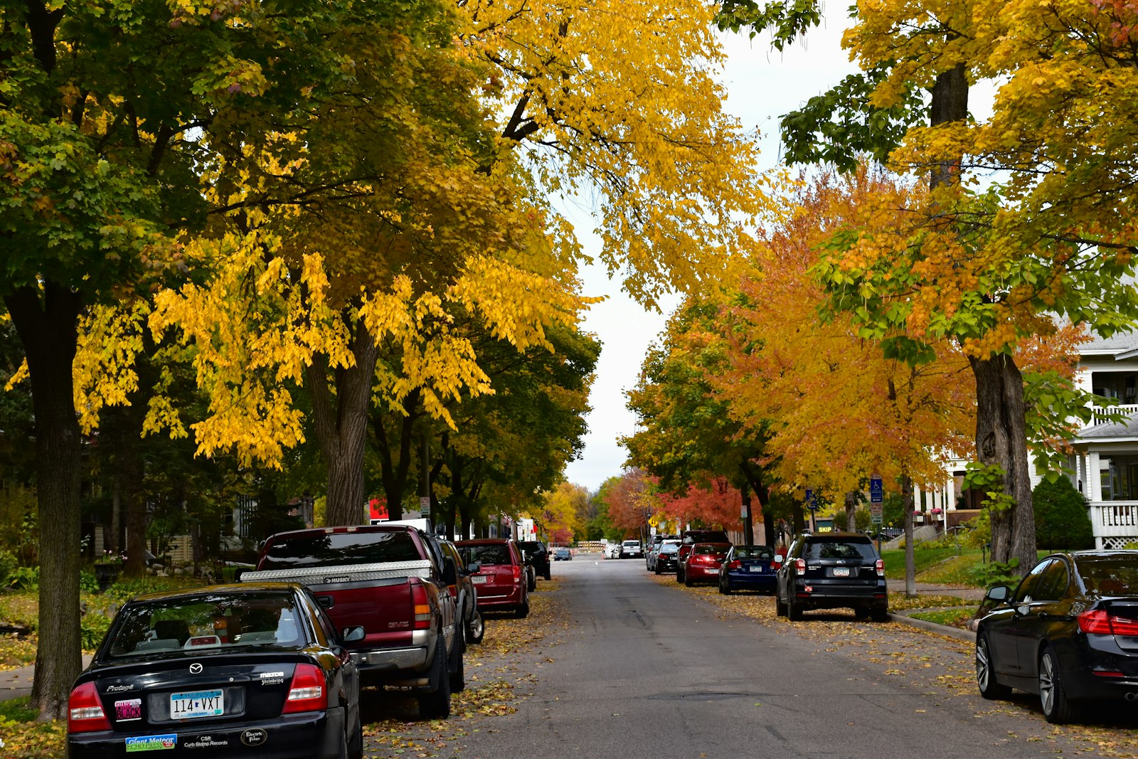 A tree-lined Atlanta neighborhood street